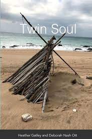 Twin Soul book cover