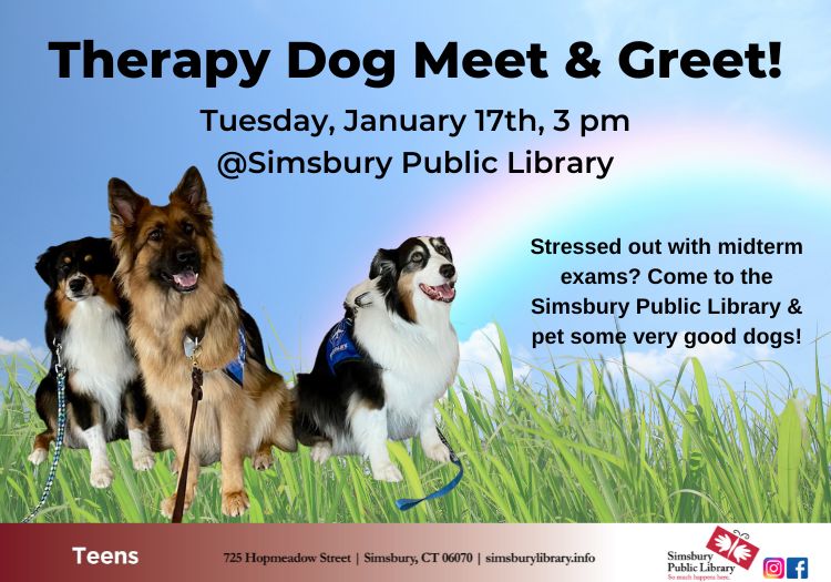 Midterm Therapy Dog Meet & Greet