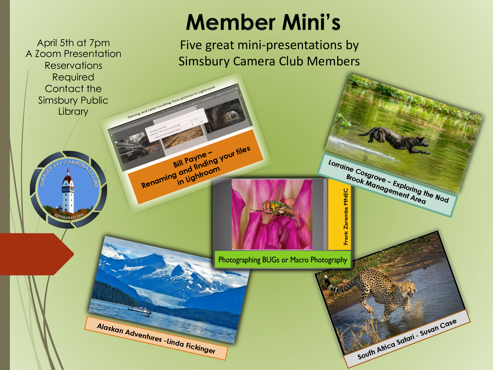Member Minis from Simsbury Camera Club