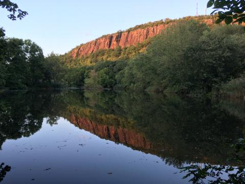 River with trees on edge and cliff in background