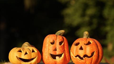 Carved pumpkins outside