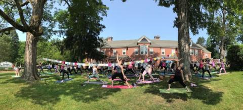 Yoga on the Lawn