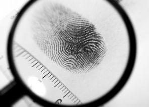 fingerprint