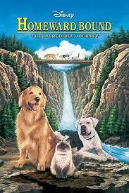 Homeward Bound movie