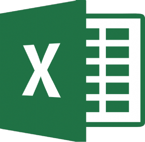 MS Excel