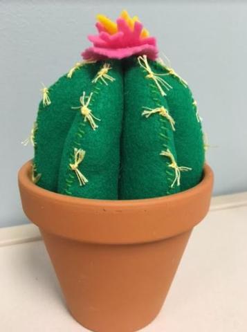 cactus