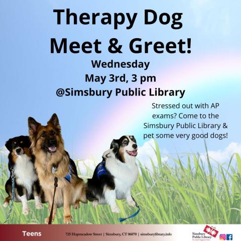 Therapy Dog Meet & Greet!