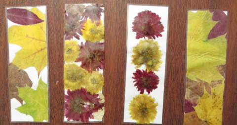 nature bookmarks