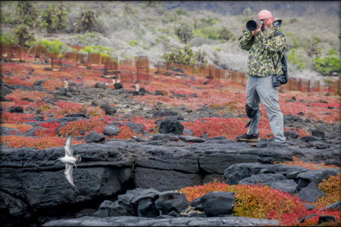 Lee Hoy, Photographer at Work