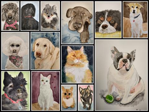 Paint Your Pet Collage 