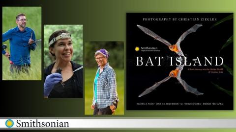 Bat Island Cover and Authors