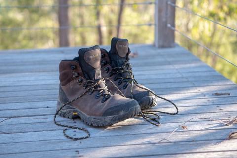 Hiking Shoes 