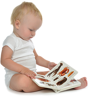 baby looking at book