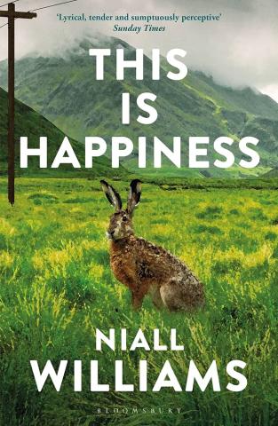 The book cover for This is Happiness, a painting of a hare sitting in a field