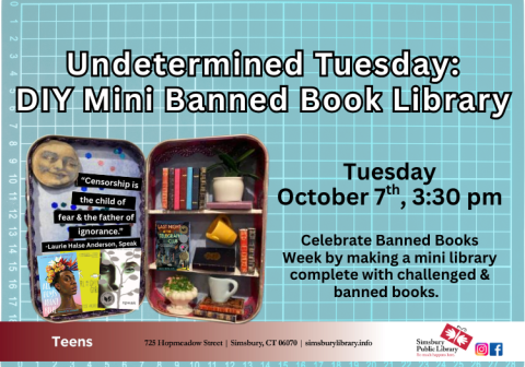 DIY Banned Book Library